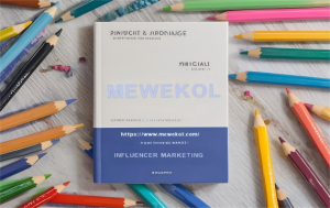 Effective Incentive Strategies in Influencer Marketing