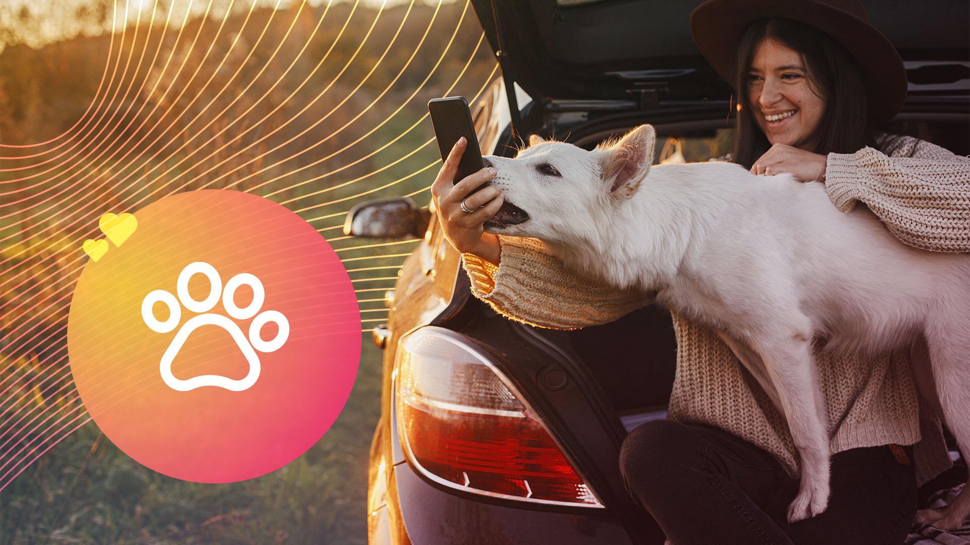 Crafting Authentic Partnerships Between Brands and Pet Influencers