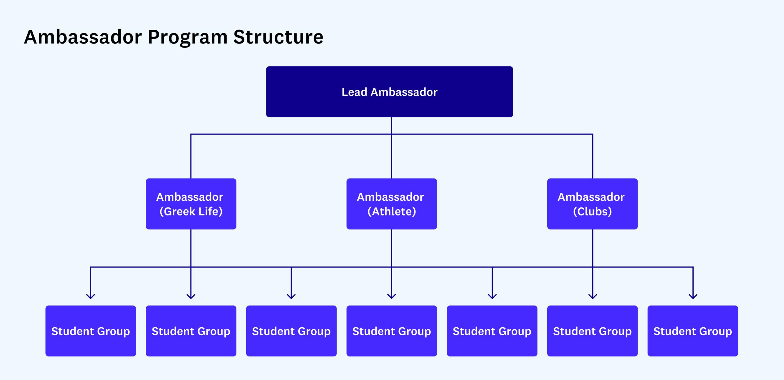 Long-term ambassador roles with influencers