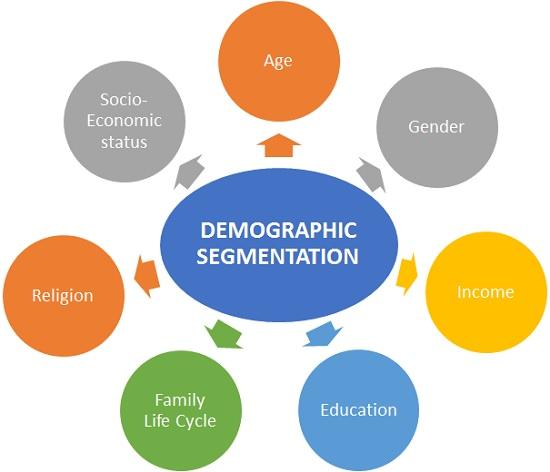 Unlocking Influence: The Role of Demographics in Marketing