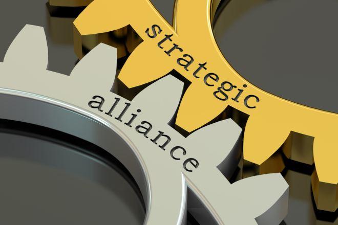 Strategic Alliances: Cultivating Lasting Bonds with YouTube Stars