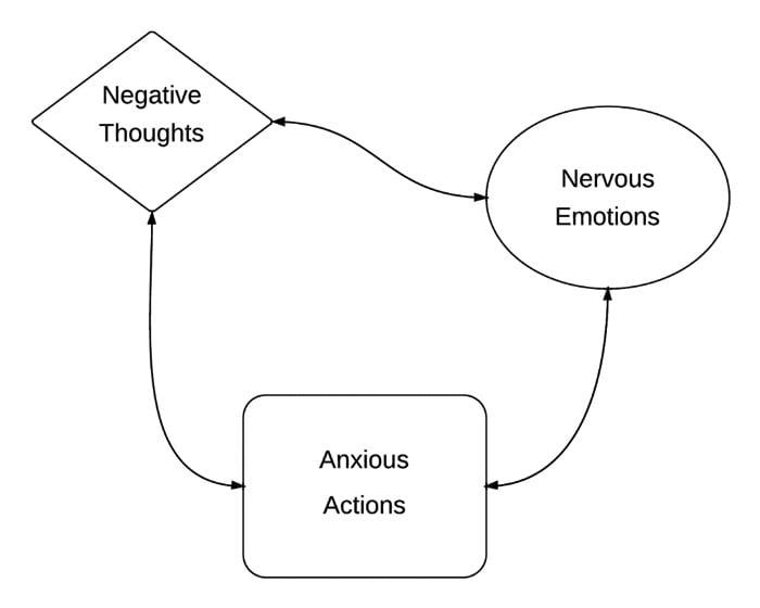 Building a Feedback Loop that Strengthens Audience Connections