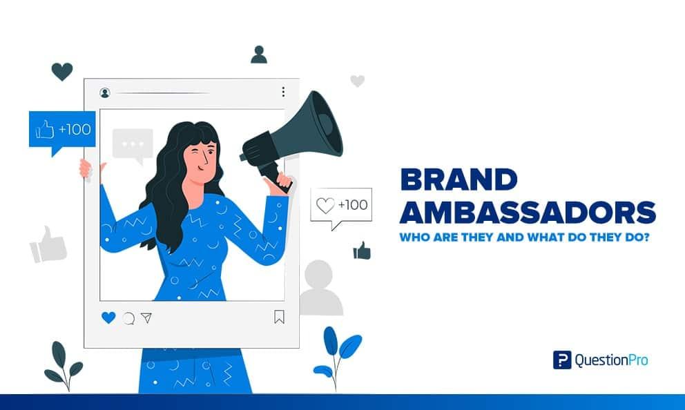 Metrics That Matter: Evaluating the Impact of Brand Ambassadors on Sales