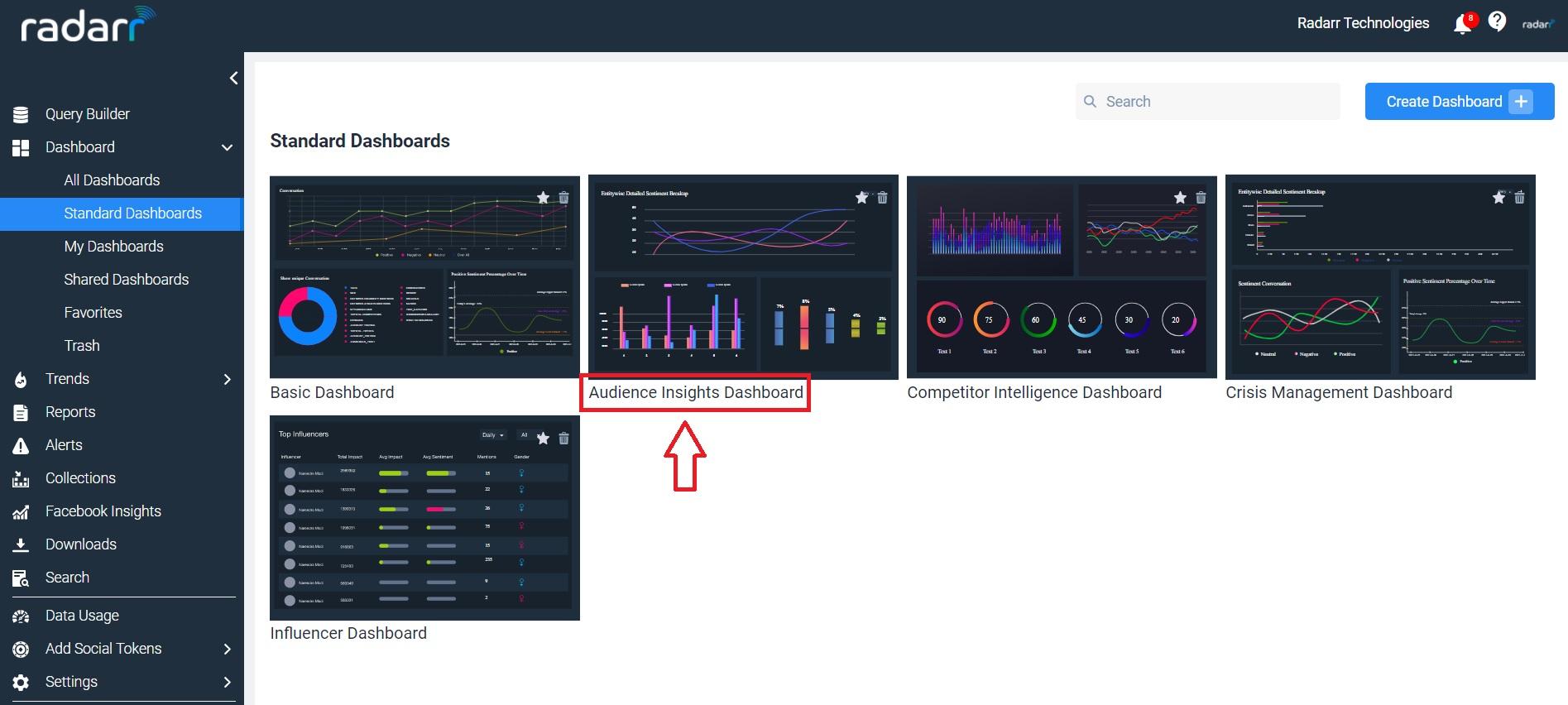 Demystifying Audience Insights: Key to Influencer Success